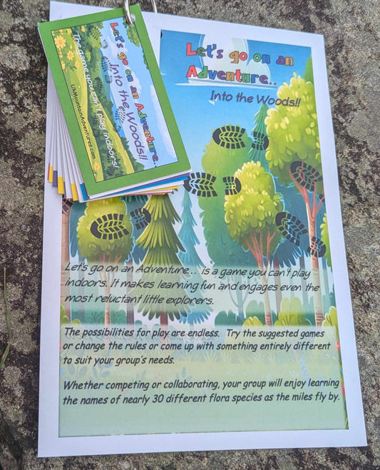 Flora and Fauna cards with half price Children's 'into the woods!' cards