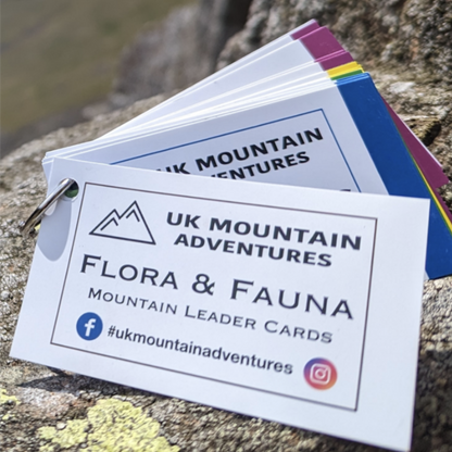 Faura and Fauna information cards