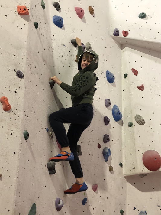 Learn to climb - indoors - half day